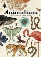 ANIMALIUM1