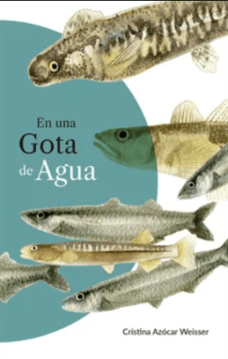 En una gota de agua