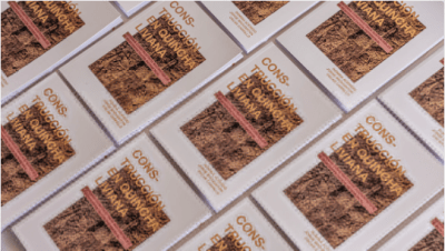 Construcción en Quincha Liviana1