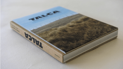 Talca Cuestión de educacion