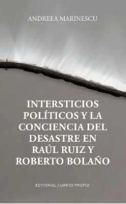 INTERSTICIOS POLITICOS Y LA CONCIENCIA DEL DESASTRE1