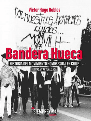 BANDERA HUECA