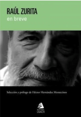 RAUL ZURITA EN BREVE