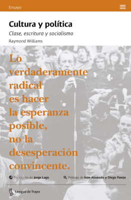Cultura y política1
