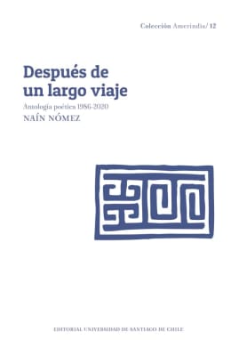 DESPUES DE UN LARGO VIAJE1