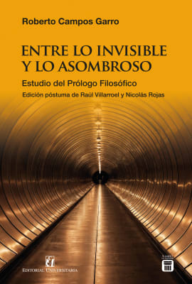 ENTRE LO INVISIBLE Y LO ASOMBROSO