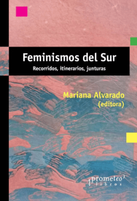 FEMINISMOS DEL SUR1