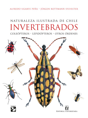 INVERTEBRADOS: NATURALEZA ILUSTRADA DE CHILE