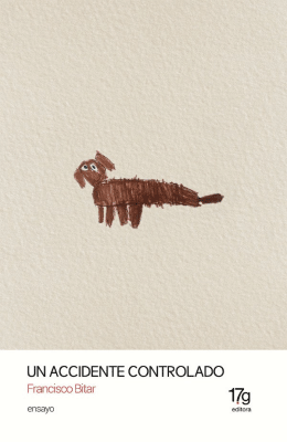 UN ACCIDENTE CONTROLADO