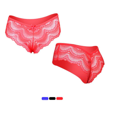 PANTALETA PARA MUJER DE ENCAJE COMPLETO PACK POR 4 UNIDADES1