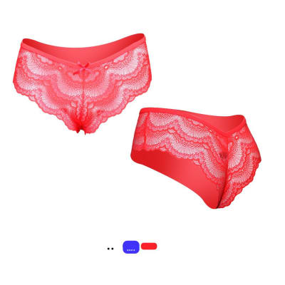 PANTALETA PARA MUJER  ENCAJE COMPLETO PACK POR 4 UNIDADES