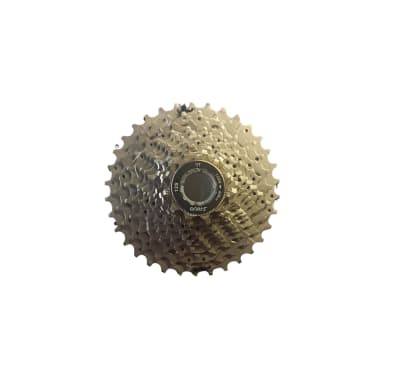 Piñon 12v1