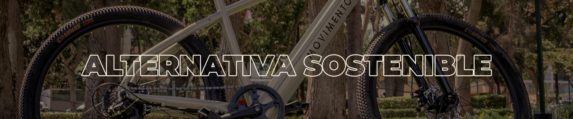 ¿Cómo elegir la bicicleta eléctrica ideal en Perú?