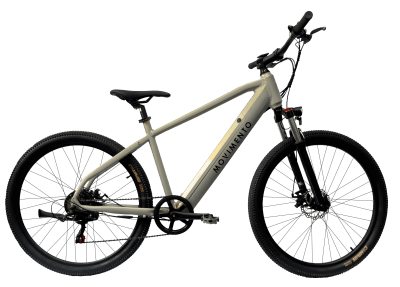 Bari Gen 2 - Bicicleta Eléctrica