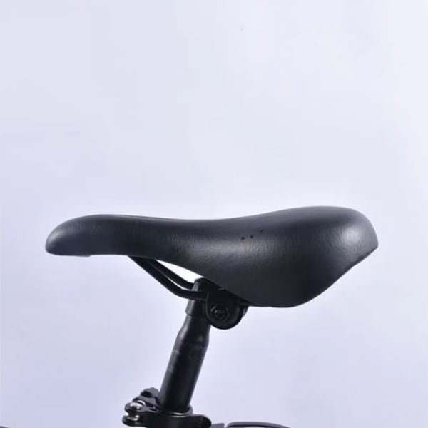 BICICLETA ELÉCTRICA ROMA7