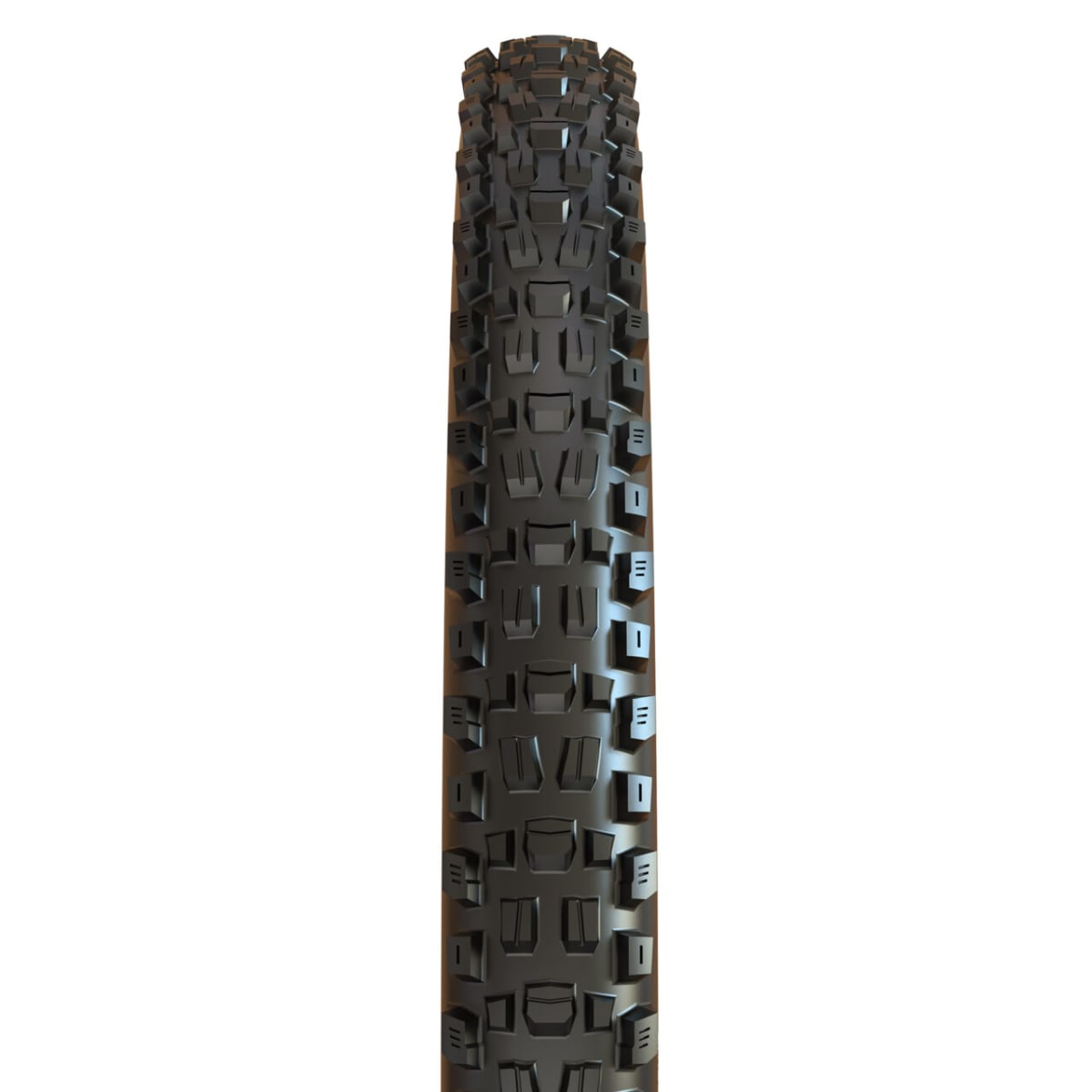 ASSEGAI 29X2.50WT 3CT/EXO+ - MAXXIS 8942