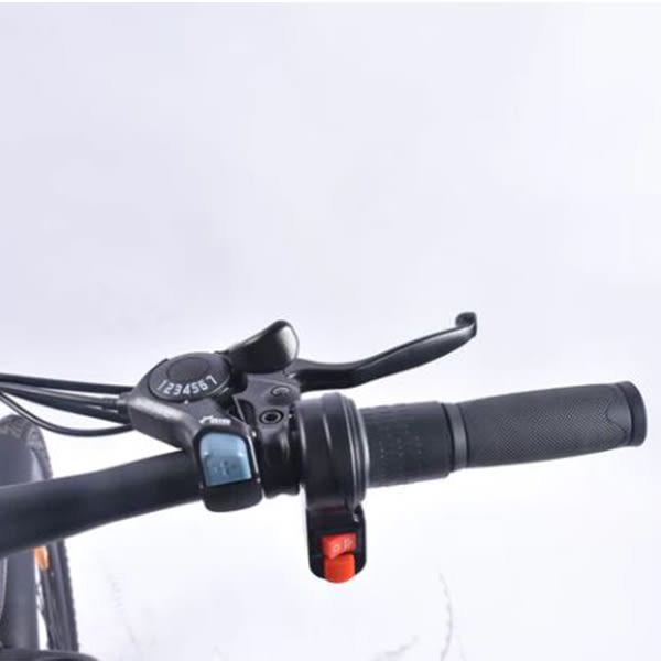 BICICLETA ELÉCTRICA ROMA8