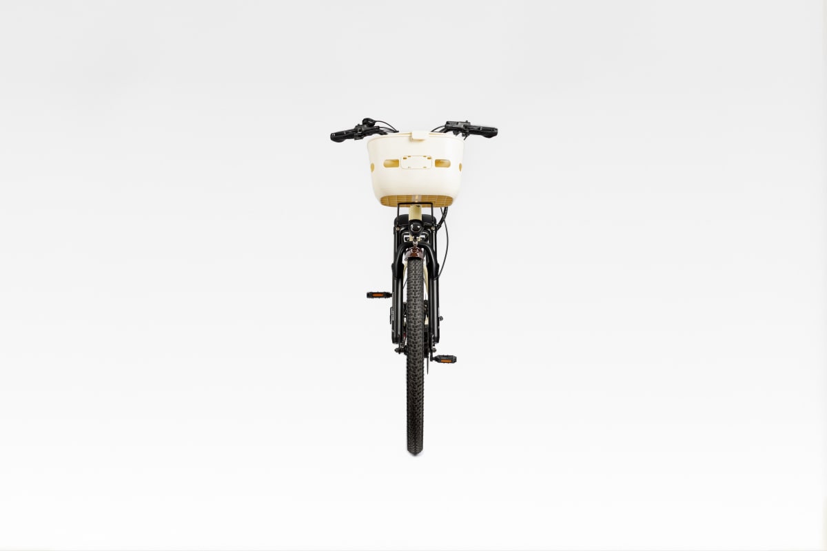 Siena - Bicicleta Eléctrica3