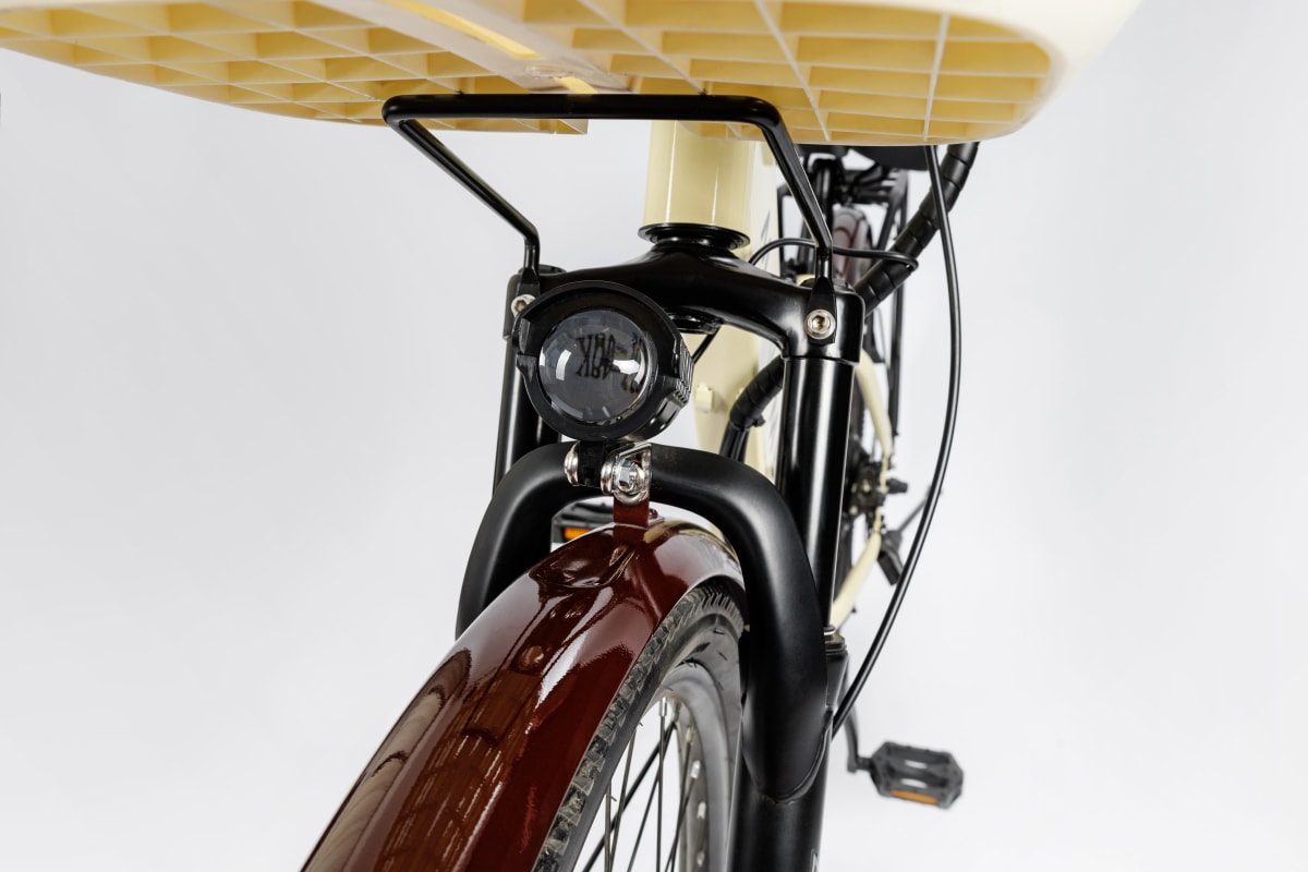 Siena - Bicicleta Eléctrica5