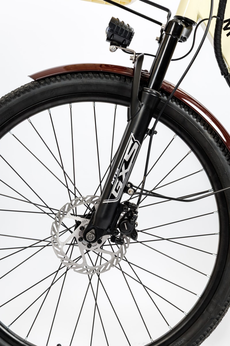 Siena - Bicicleta Eléctrica8