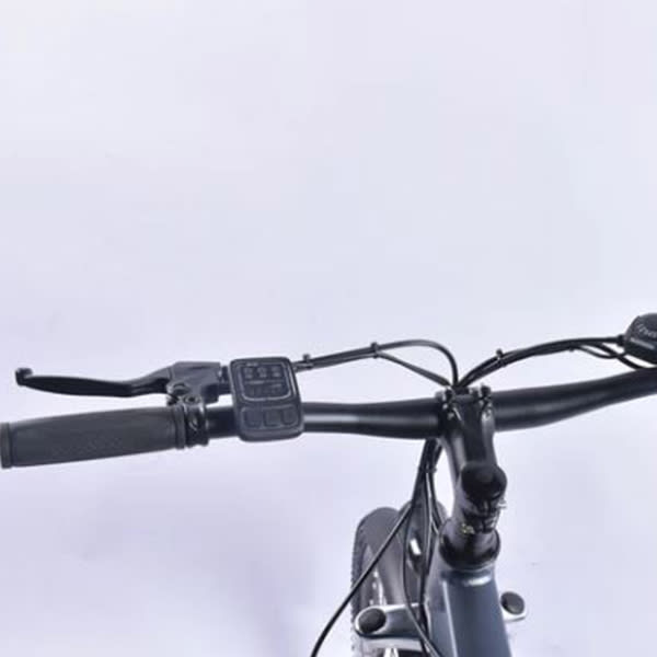 BICICLETA ELÉCTRICA ROMA9