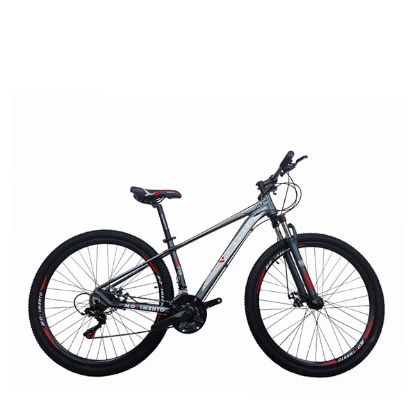 BICICLETA MODELO MTB URBANA TOSCANA1