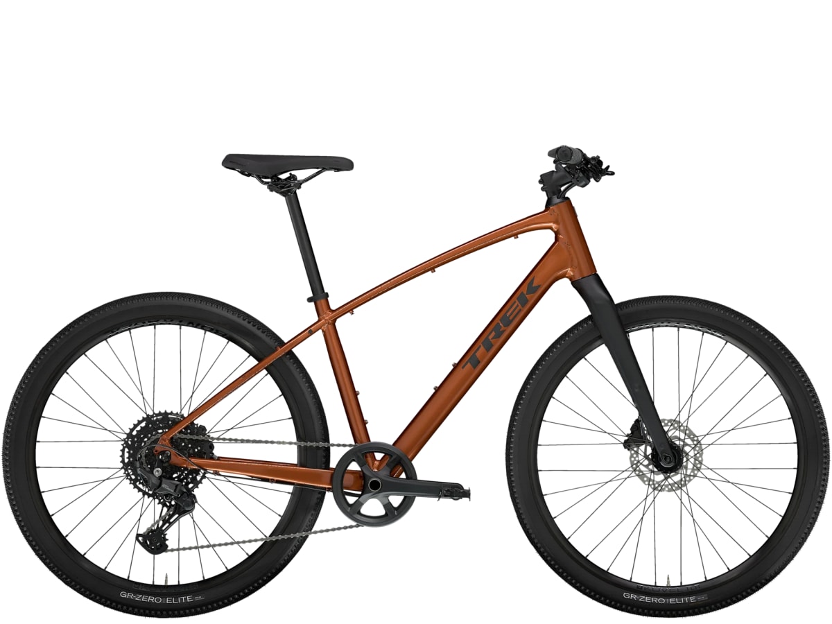 Trek Dual Sport 31