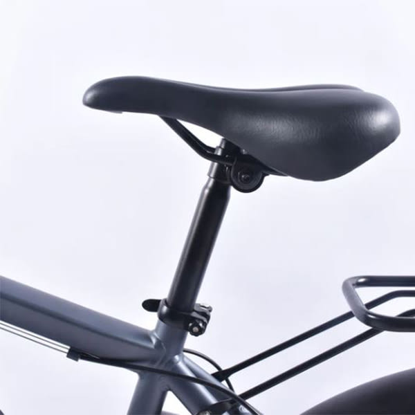 BICICLETA ELÉCTRICA VERONA4