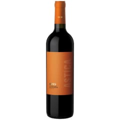 VINO ASTICA CABERNET SAUVIGNON 750ML
