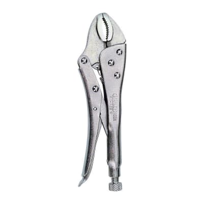 CAIMÁN BOCA CURVA DE 10