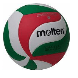 BALON VOLEIBOL V5M-35001