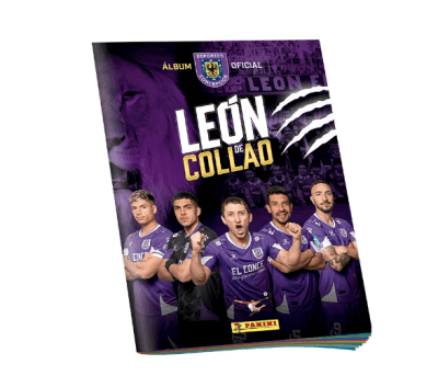 ALBUM DEPORTES CONCEPCION