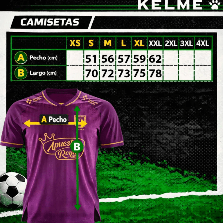 CAMISETA OFICIAL LOCAL 2026 DEPORTES CONCEPCION3