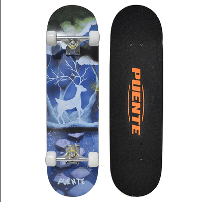 PATINETA PUENTE SKATE3