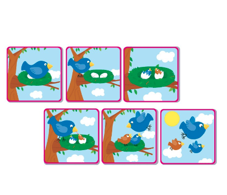 SECUENCIAS DE 6 TIEMPOS2