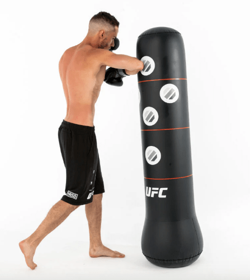 INFLABLE PUCHING2
