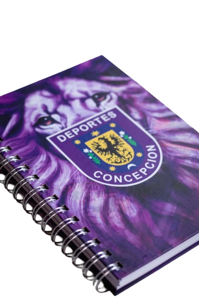 AGENDA DEPORTES CONCEPCION 4