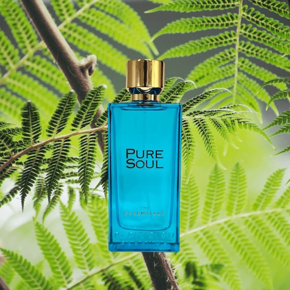 PURE SOUL3