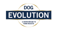 DOG EVOLUTION