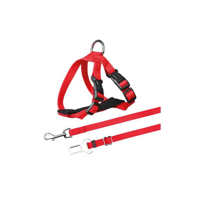 TX ARNES GATO PARA AUTO, 20-50 cm/15 mm, ROJO