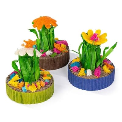JARDIN MINI SUCULENTAS (3 UN)