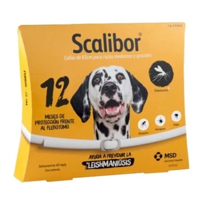 SCALIBUR