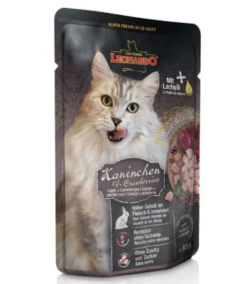 LEONARDO CONEJO Y ARANDANO