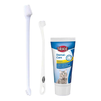 TX SET HIGIENE DENTAL, GATO