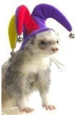 GORRO HURON BUFON