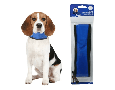 COLLAR PERRO REFRESCANTE S