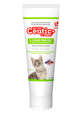 NUTRACEUTICO MY VET CEUTIC+ L-LYSINE PAW GEL 85 GR