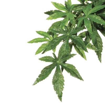 EXO TERRA DECO PLANTA SEDA ABUTILON M