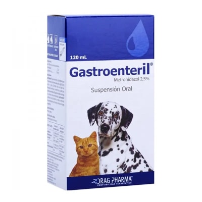 GASTROENTERIL