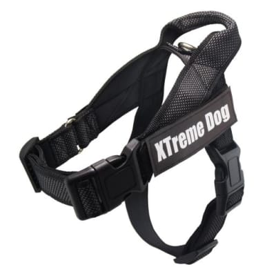 ARNES X-TREME - TALLA L (70/65-90 CM)